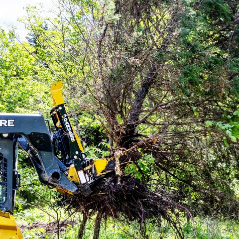 Intimidator XL pulling large tree