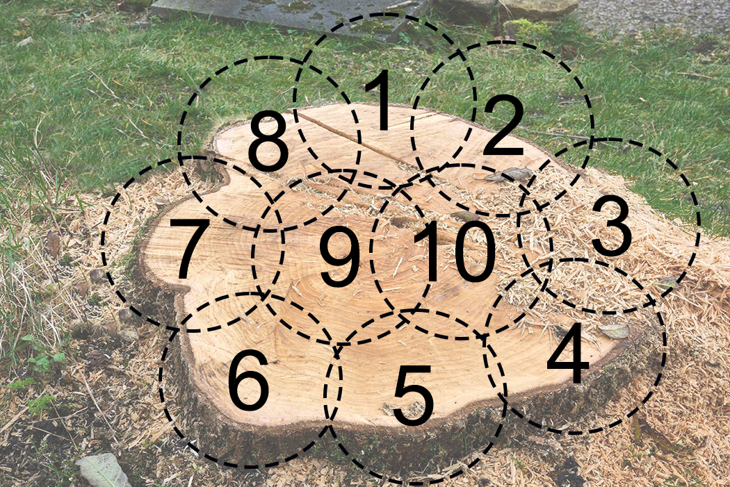 map of overlapping areas on a stump showing how to approach overlapping areas with the stump auger